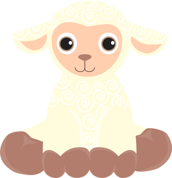 sheep-1230818_640